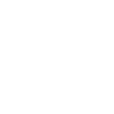 PALAS ENGENHARIA